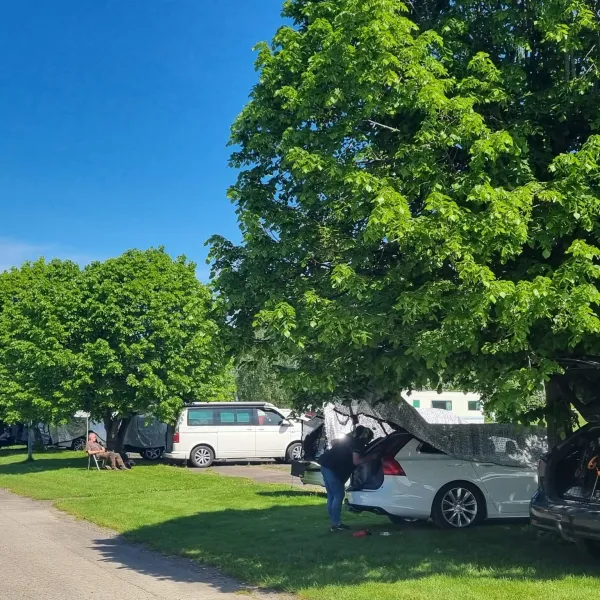 laxsjns-camping-friluftsgrd-dals-lnged-hcosu