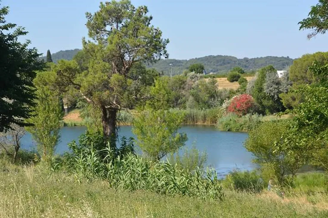 camping-lou-vincen-vallabrgues-kcwcf