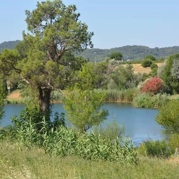 camping-lou-vincen-vallabrgues-kcwcf
