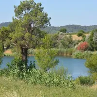 camping-lou-vincen-vallabrgues-kcwcf