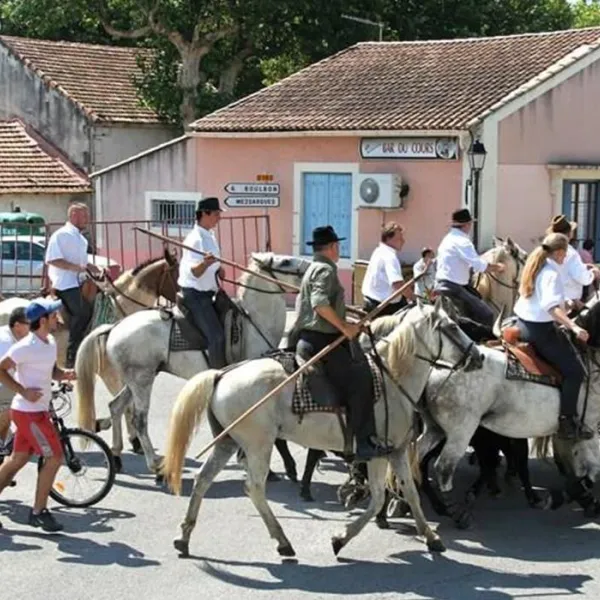 camping-lou-vincen-vallabrgues-ng3mq