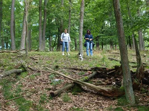camping-wisperpark-bad-schwalbach-ecxrk