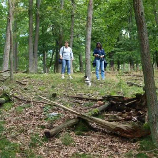camping-wisperpark-bad-schwalbach-ecxrk