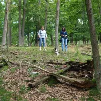 camping-wisperpark-bad-schwalbach-ecxrk