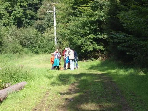 camping-wisperpark-bad-schwalbach-jzbpl