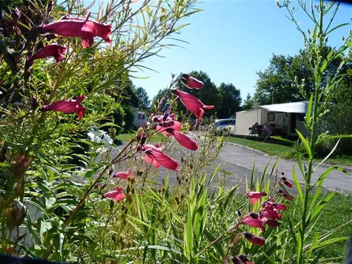 camping-la-chevrette-digoin-4aioh