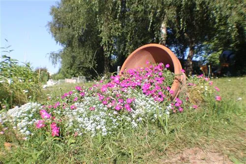 camping-la-chevrette-digoin-lczu7