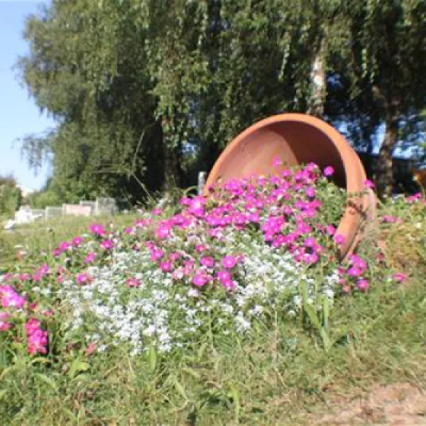 camping-la-chevrette-digoin-lczu7