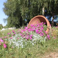 camping-la-chevrette-digoin-lczu7