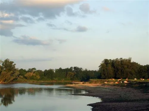 camping-la-chevrette-digoin-wifja