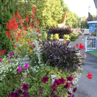 camping-la-chevrette-digoin-xj7mo