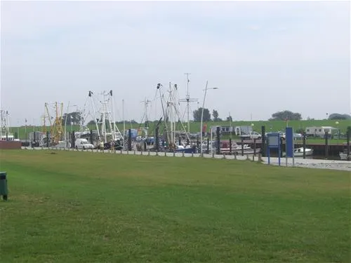 camping-wremer-tief-am-nordseestrand-wremen-g1lhb