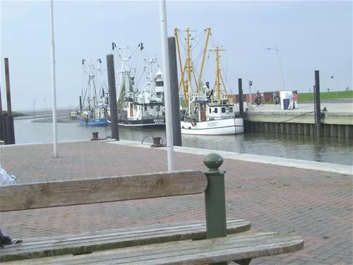 camping-wremer-tief-am-nordseestrand-wremen-mw7kf