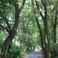 campingplatz-himmelreich-wentorfinsel-schwielowsee-ot-caputh-qulkm