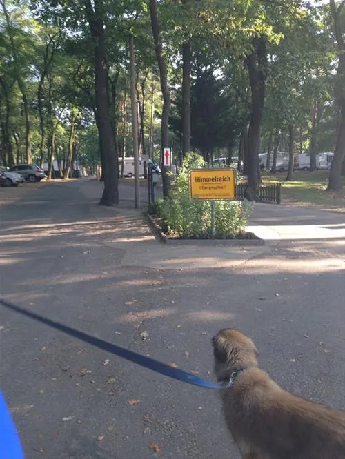 campingplatz-himmelreich-wentorfinsel-schwielowsee-ot-caputh-vcaas