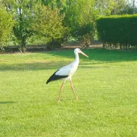 camping-koolswegje-cadzand-byrm3