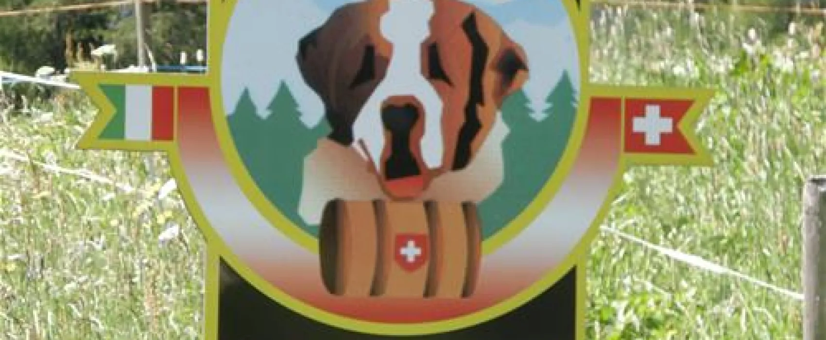 Camping Grand St-Bernard