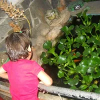 Camping Huerta Romero