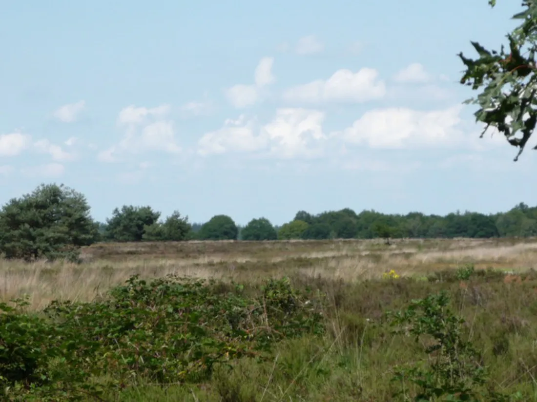camping-de-wildhoeve-emst-mn7mf