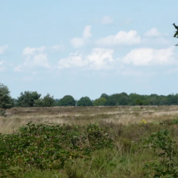 camping-de-wildhoeve-emst-mn7mf