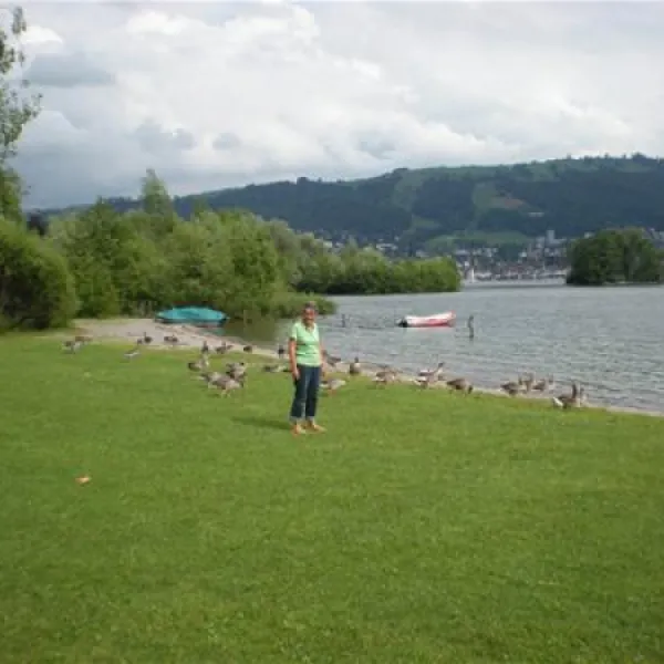 TCS Camping Zugersee