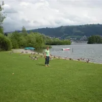 TCS Camping Zugersee