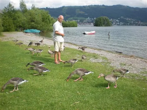 tcs-camping-zugersee-zug-sm2sb