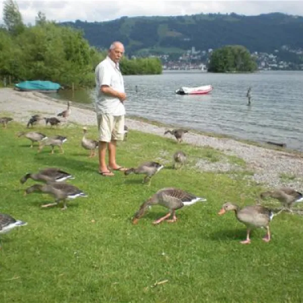 tcs-camping-zugersee-zug-sm2sb