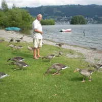 tcs-camping-zugersee-zug-sm2sb