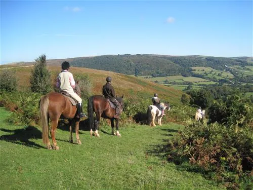 burrowhayes-farm-caravan-and-camping-site-minehead-7ax1o