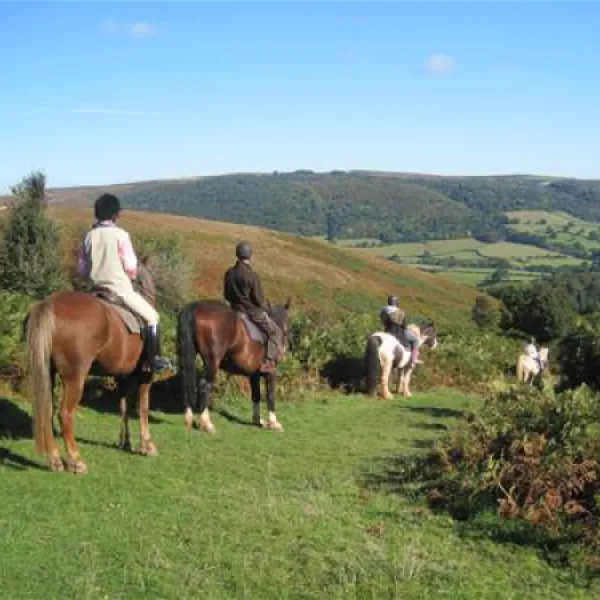 burrowhayes-farm-caravan-and-camping-site-minehead-7ax1o