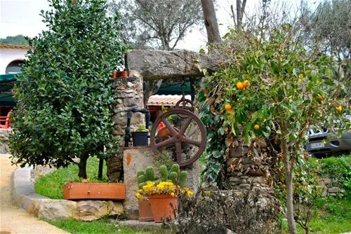 camping-el-pasqualet-caldes-de-montbui-tbjyb