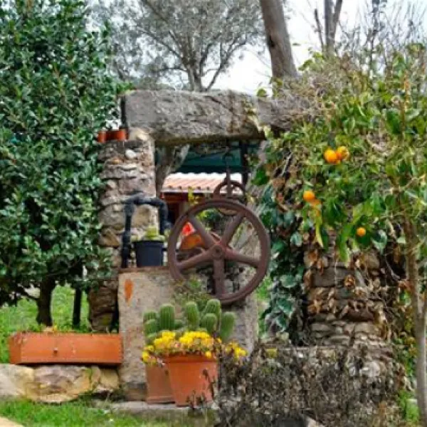 camping-el-pasqualet-caldes-de-montbui-tbjyb