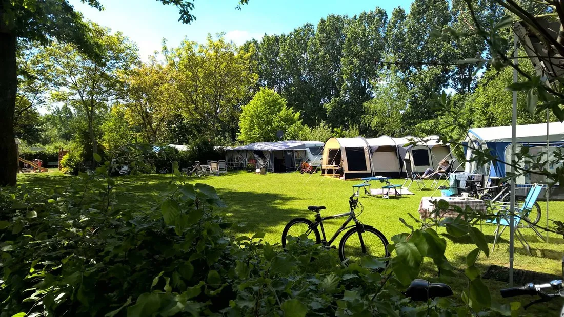 minicamping-t-vressels-bos-nijnsel-qjh6g