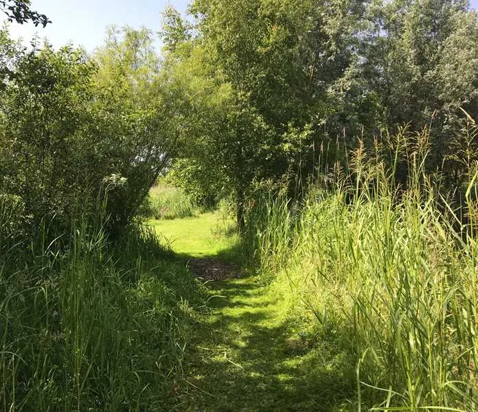 alderfen-marshes-norwich-5ndbr