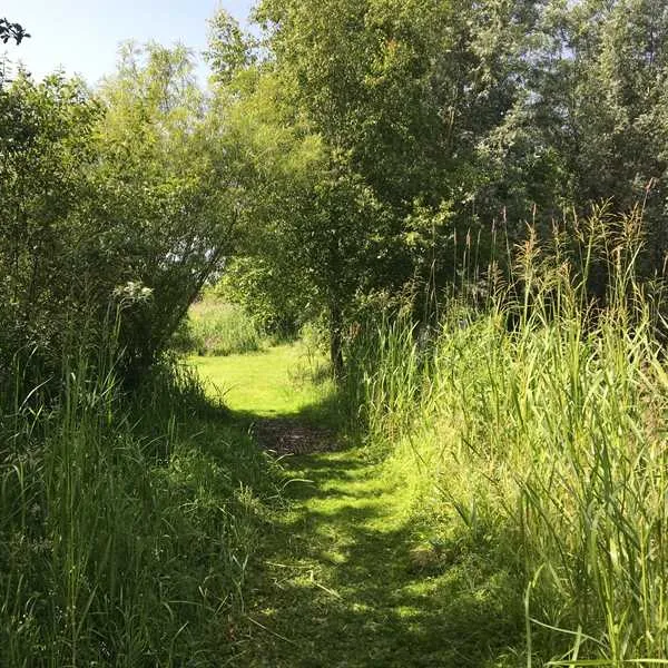 alderfen-marshes-norwich-5ndbr