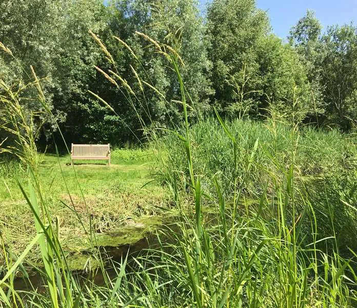 alderfen-marshes-norwich-nny4t