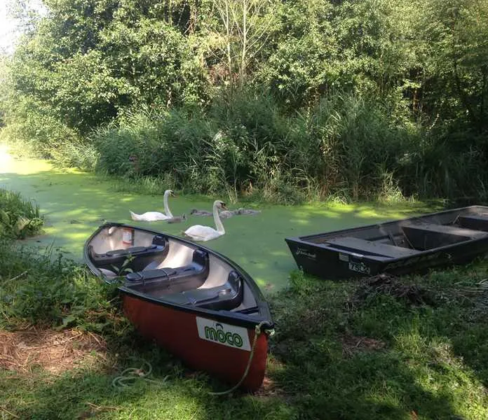 alderfen-marshes-norwich-nwbqt