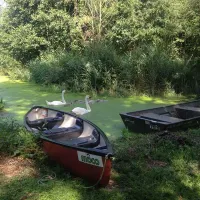 alderfen-marshes-norwich-nwbqt