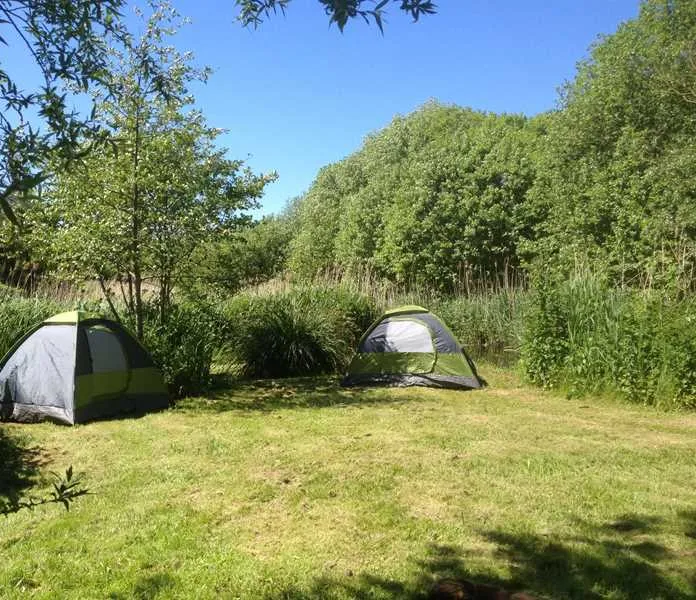alderfen-marshes-norwich-rqpcq