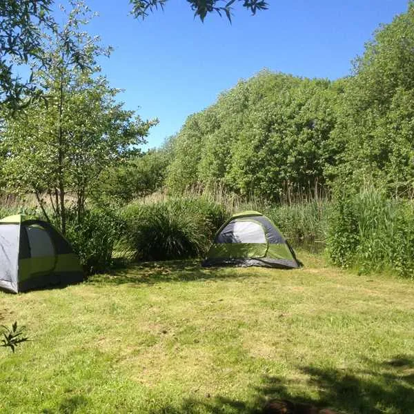 Alderfen Marshes