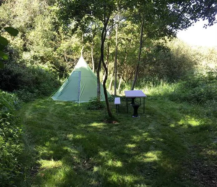 alderfen-marshes-norwich-v3a7w