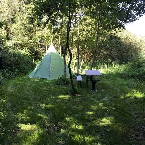 alderfen-marshes-norwich-v3a7w