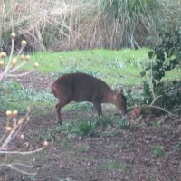 alderfen-marshes-norwich-woyd1