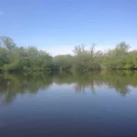 alderfen-marshes-norwich-xof5v