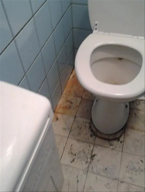 kampeerverblijfpark-mijn-plezier-middelkerke-22lcp