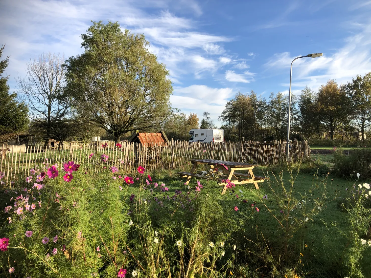 botniahiem-camping-damwoude-2ctpd