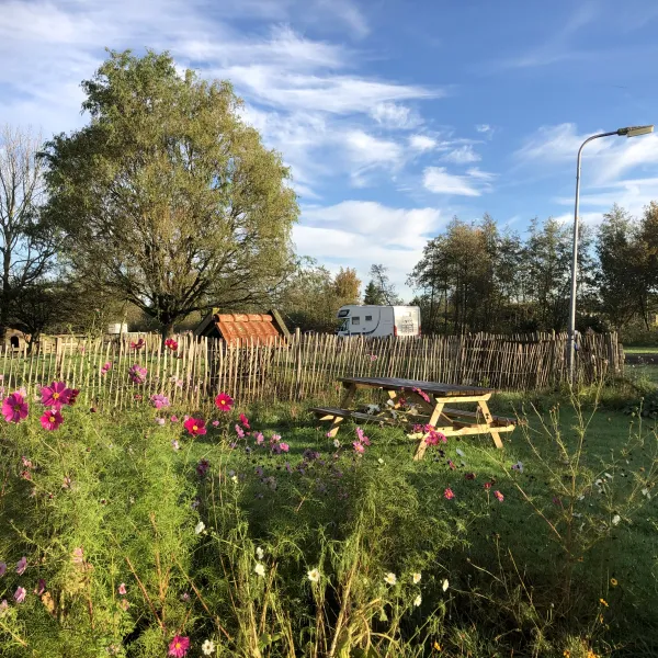 botniahiem-camping-damwoude-2ctpd