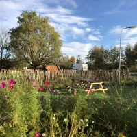 botniahiem-camping-damwoude-2ctpd
