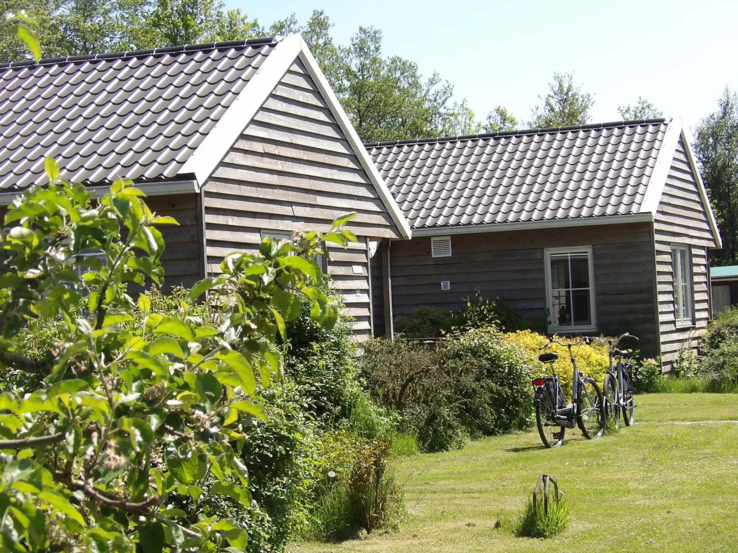 botniahiem-camping-damwoude-h4hsr